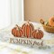 Set of 2 11.75"L Fall Wooden "PUMPKIN PATCH" Pumpkins Table Sign
